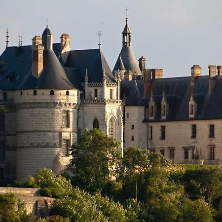 Superbe Appartement - L'Escapade Onzain Exteriör bild